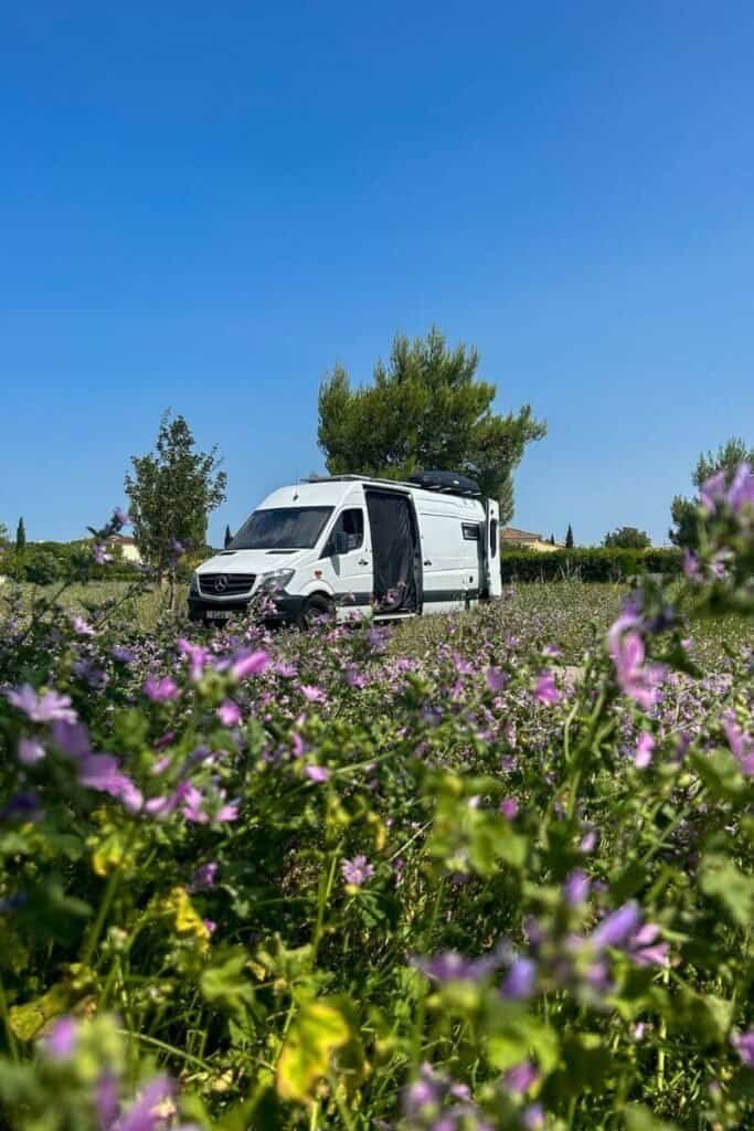 Living in a van in France at beautiful quiet park ups, filled with greenery and purple flowers.