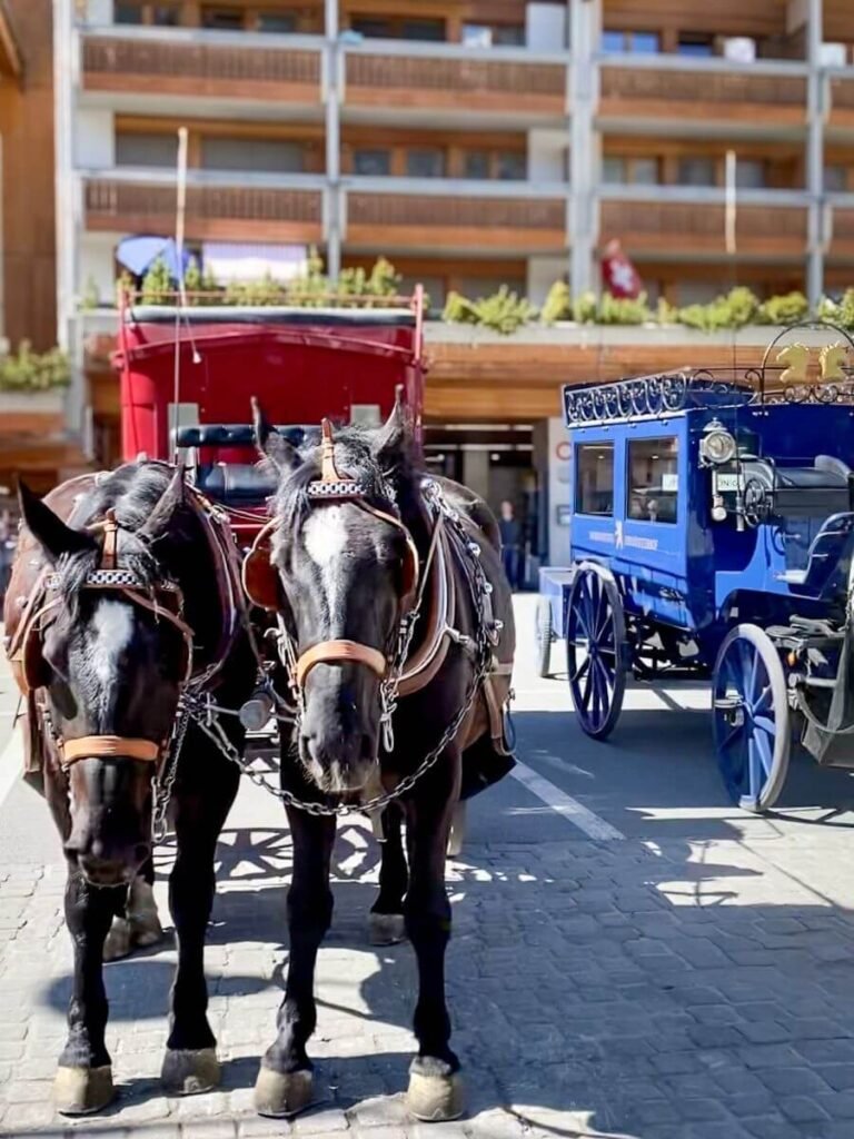 Horse drawn carriages in Zermatt.